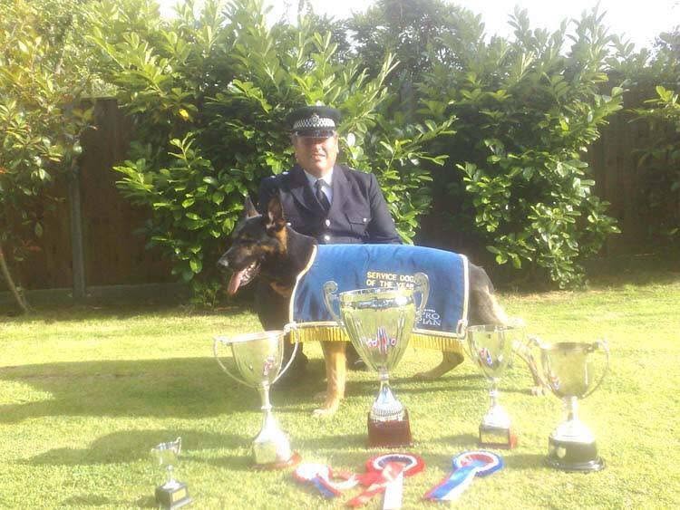 Security Dogs in London and South East