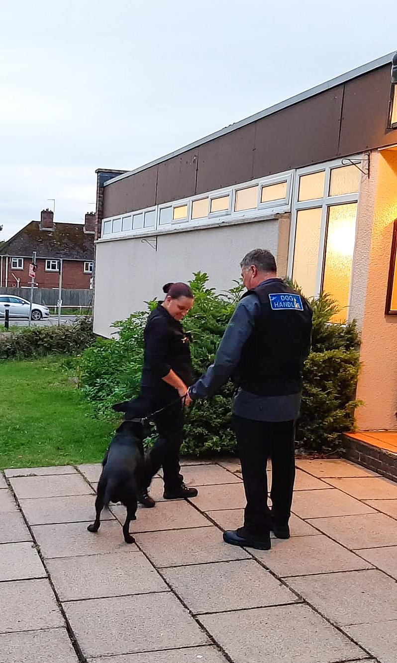 Security Dogs in London and South East