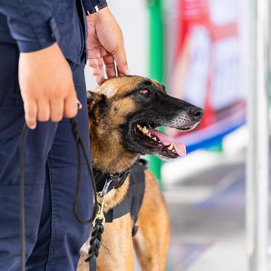Security Dogs in London & The South East About us